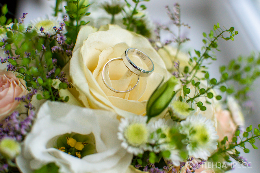 DSC_7632.jpg DSC_7632.jpg