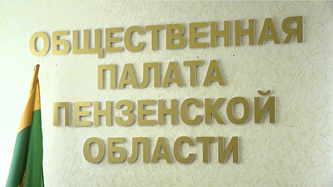 В Общественной палате Пензенской области обсудили работу наблюдателей во время предстоящих выборов