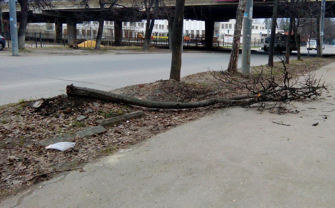 Ряд пензенских сел оставил без электричества ледяной дождь