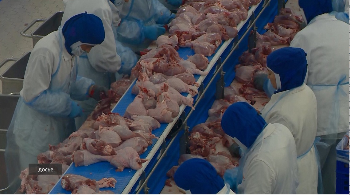 Пензенская группа компаний «Дамате» начнет поставки мяса индейки и утки в Египет