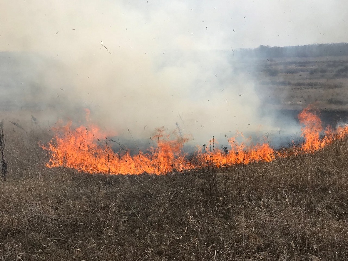 В Пензенской области вдвое выросло число пожаров