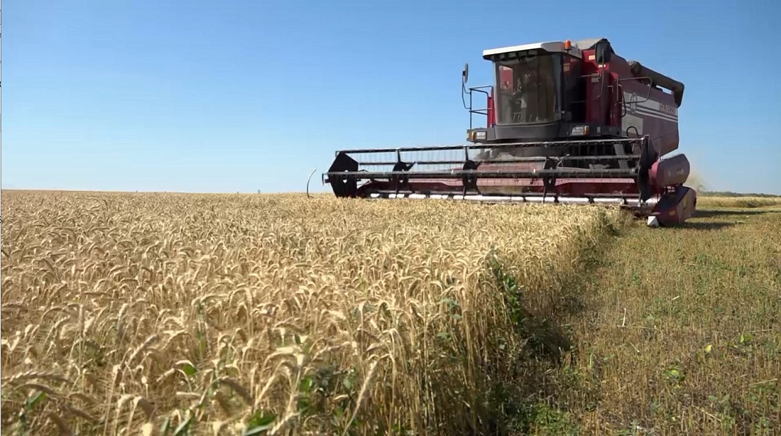 Губернатор Олег Мельниченко обсудил с министром сельского хозяйства Пензенской области прогнозы на урожай