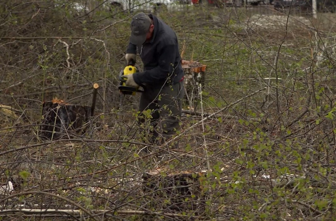 Многолетняя мечта становится реальностью