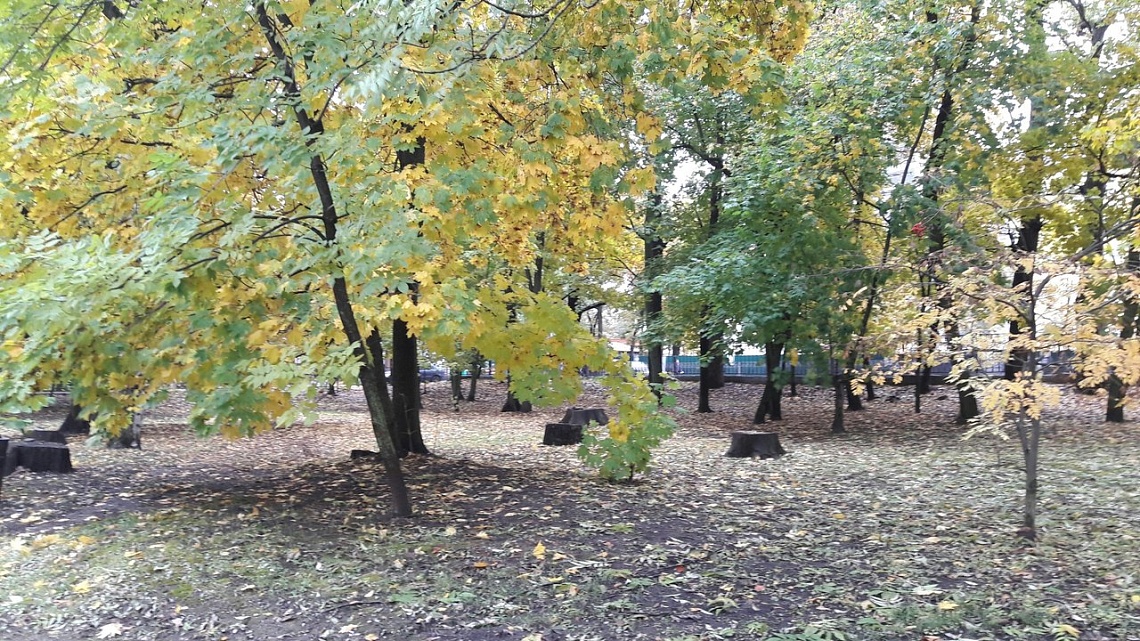 В Пензенской области собаку пытались уморить, привязав к дереву В Пензенской области собаку пытались уморить, привязав к дереву