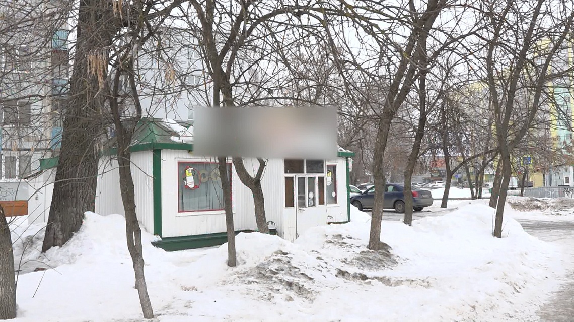 С улиц Пензы будут сносить незаконные постройки