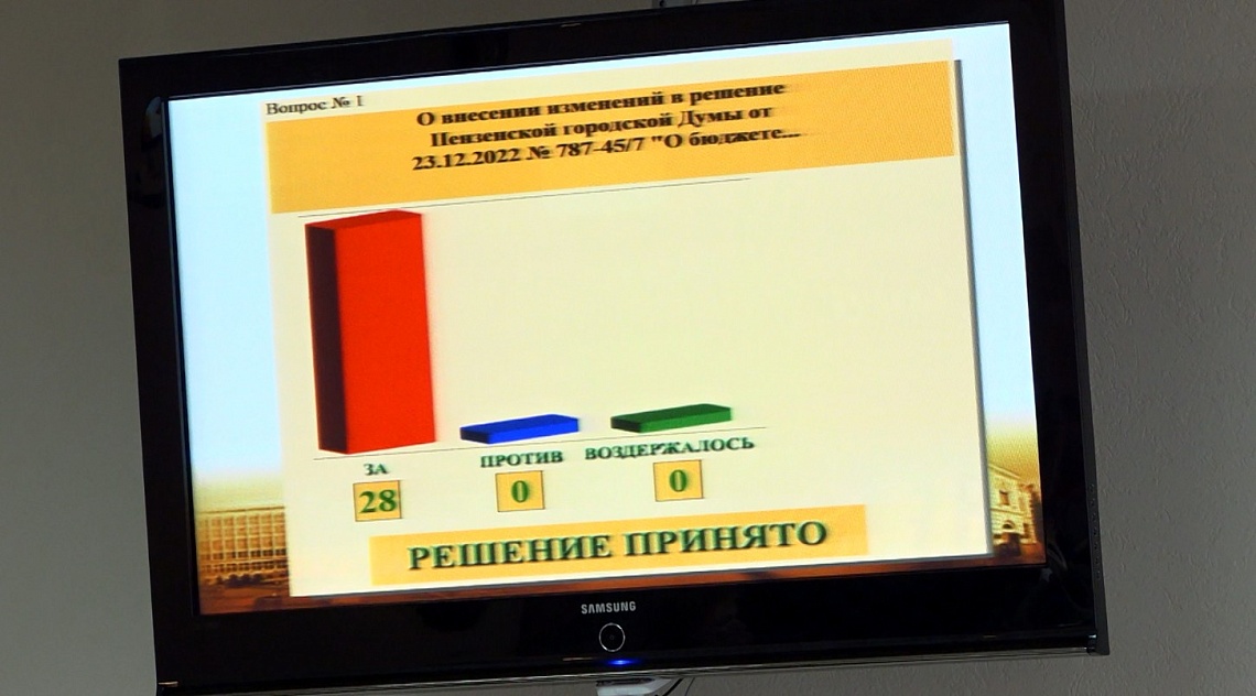 Депутаты Пензенской городской Думы внесли изменения в правила благоустройства