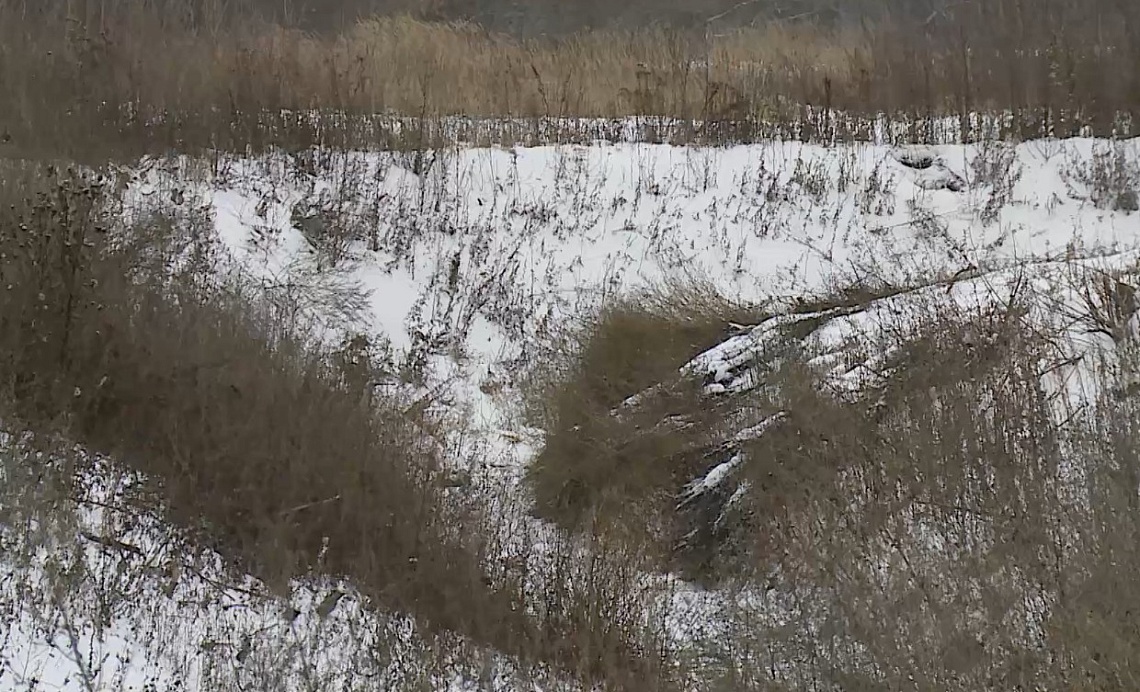 В Белинском расчистили русло ручья Королейка, чтобы избежать подтоплений домов
