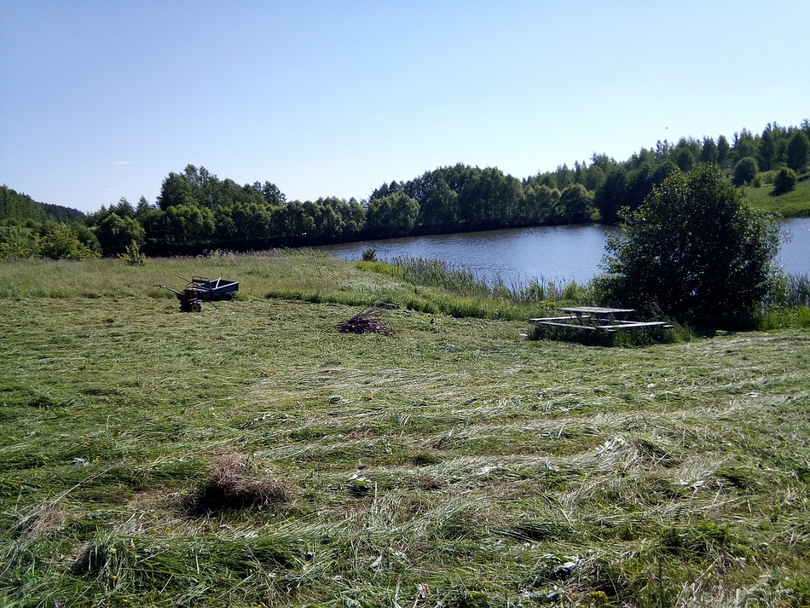 Житель Вадинска привел в порядок загаженную зону отдыха на пруду