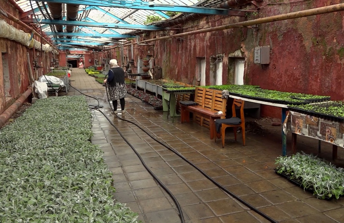 Оформление городских клумб и газонов