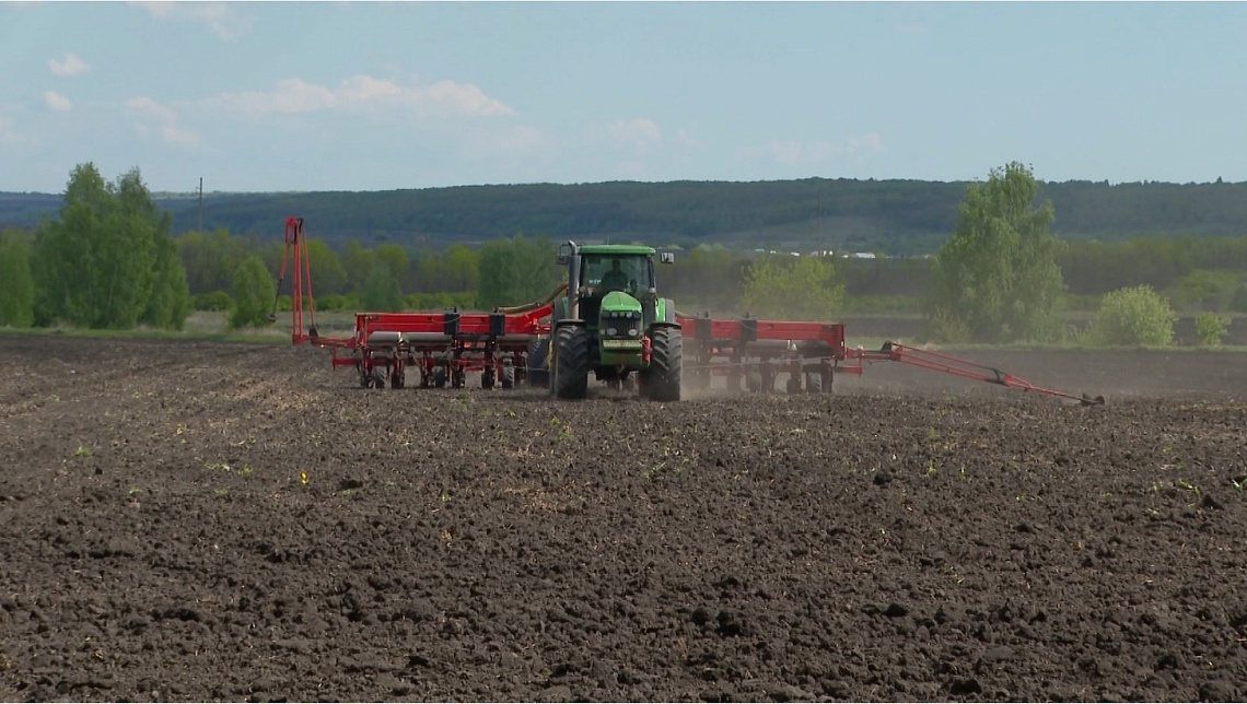 Аграрии Пензенской области пытаются спасти урожай после майских заморозков