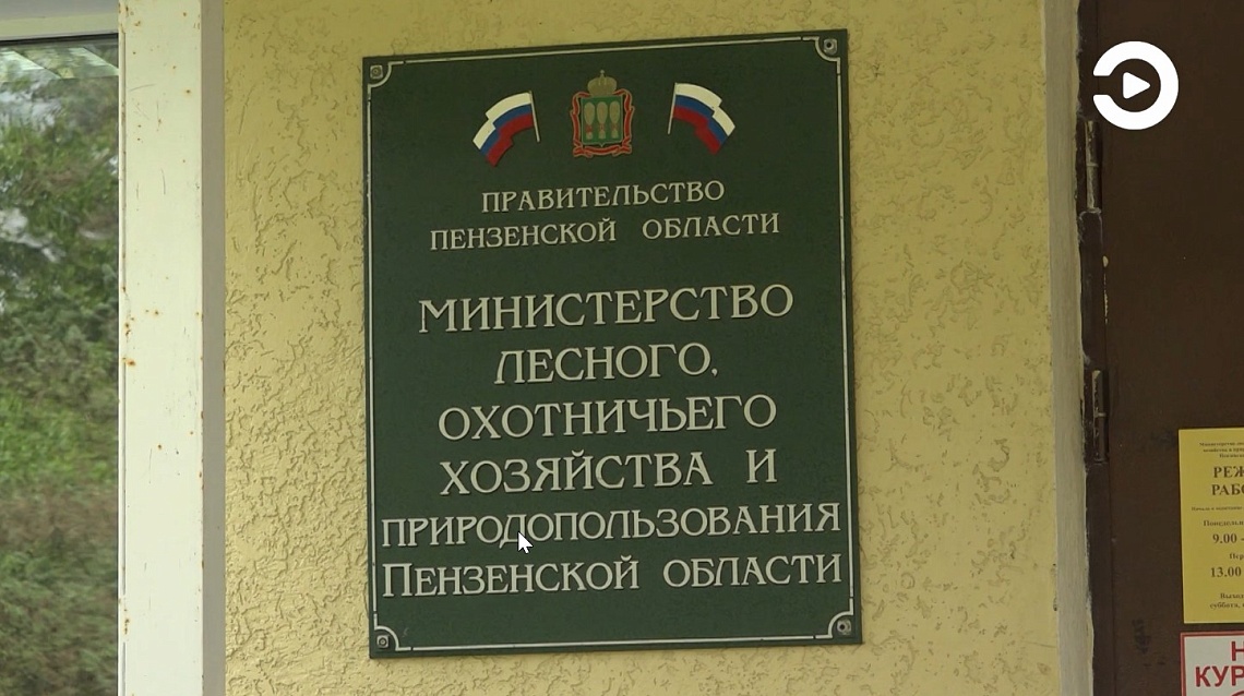 В Пензенской области с 1 августа открывается охота на кабана