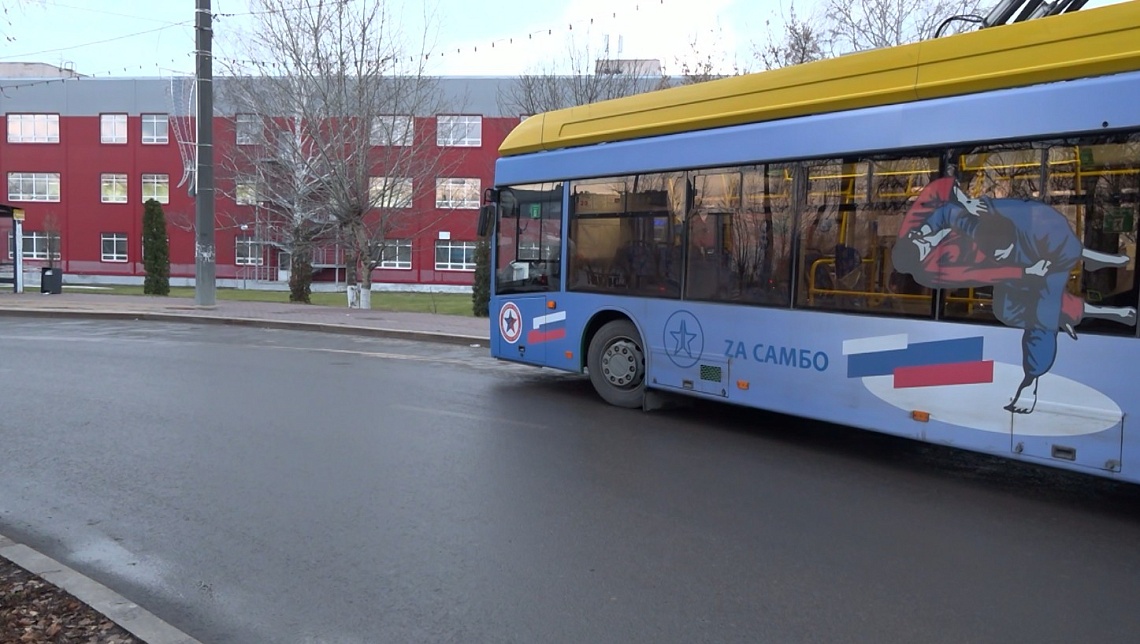 В Пензе организовали акцию ко Дню самбо
