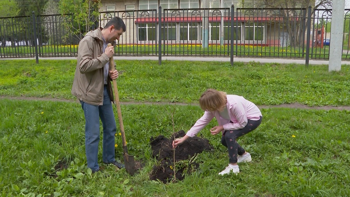 Сотрудники «ТНС энерго Пенза» провели экологическую акцию