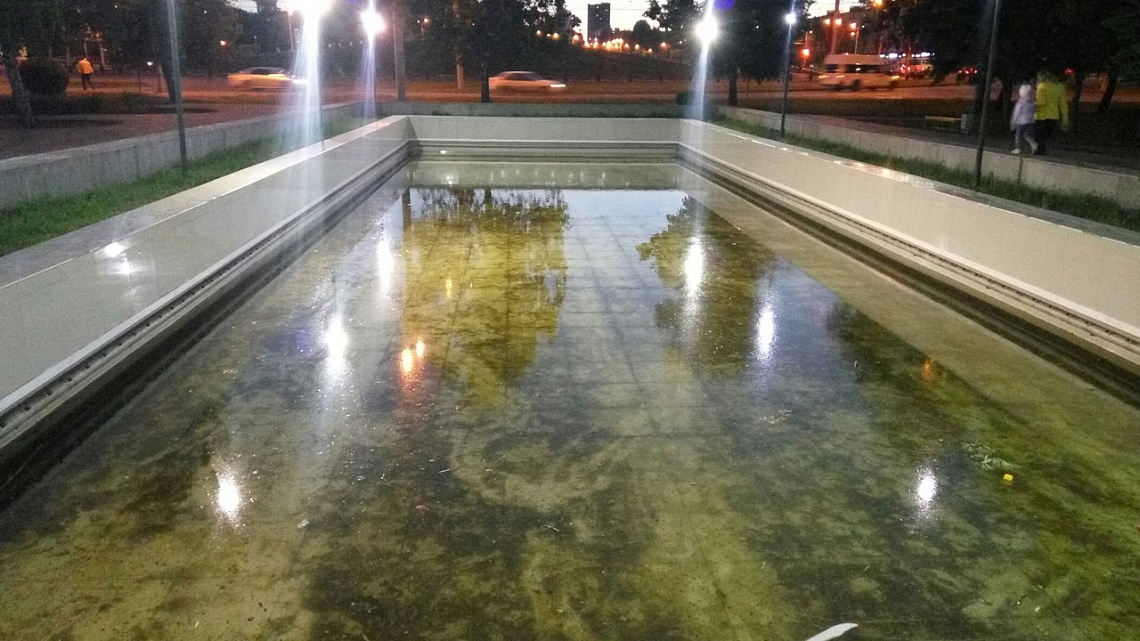 В Пензе фонтан в сквере «Журавли» зарос тиной - горожане