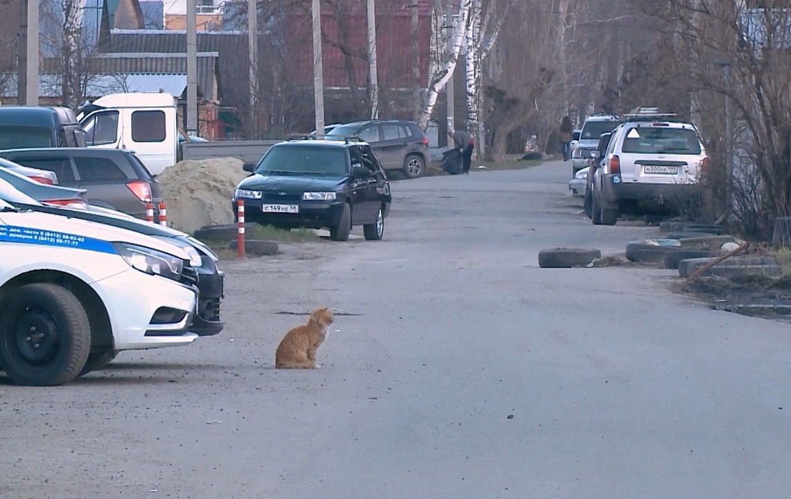 Путешествие по стране 18-летнего жителя Ульяновска закончилось уголовным делом