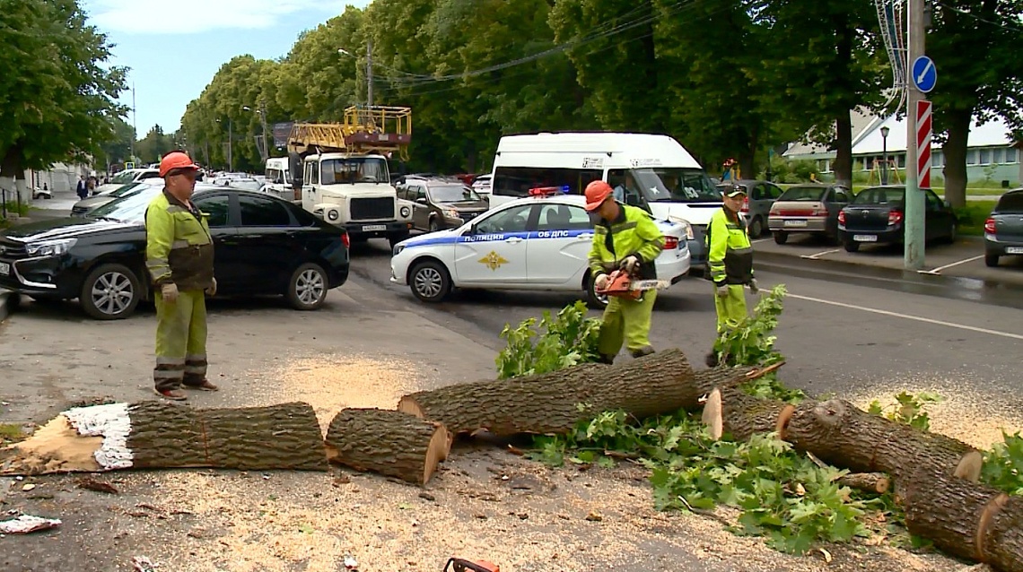 В Пензе на одной из улиц рухнуло дерево