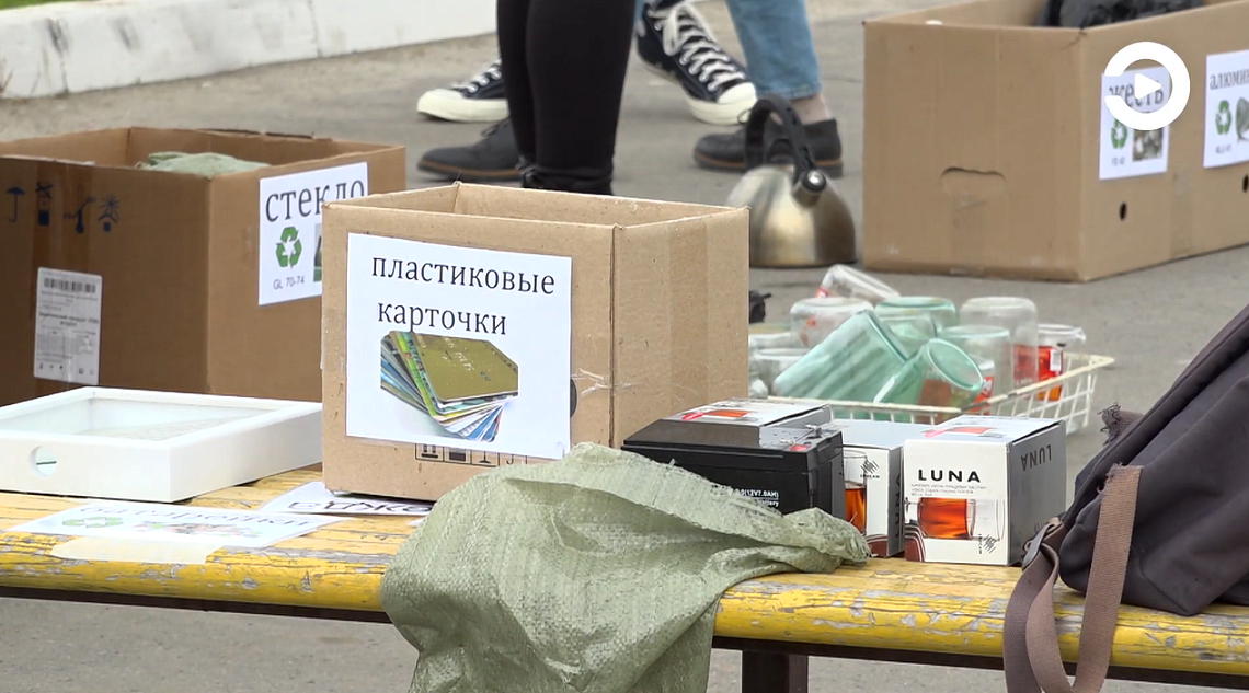 В Пензе экоактивисты организовали акцию по сбору отходов