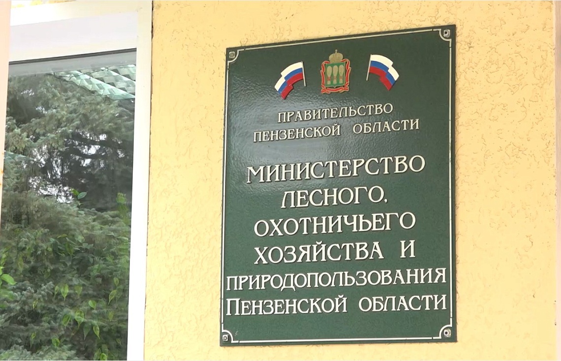 С начала года в Пензенской области ликвидировали более 20 возгораний в лесах