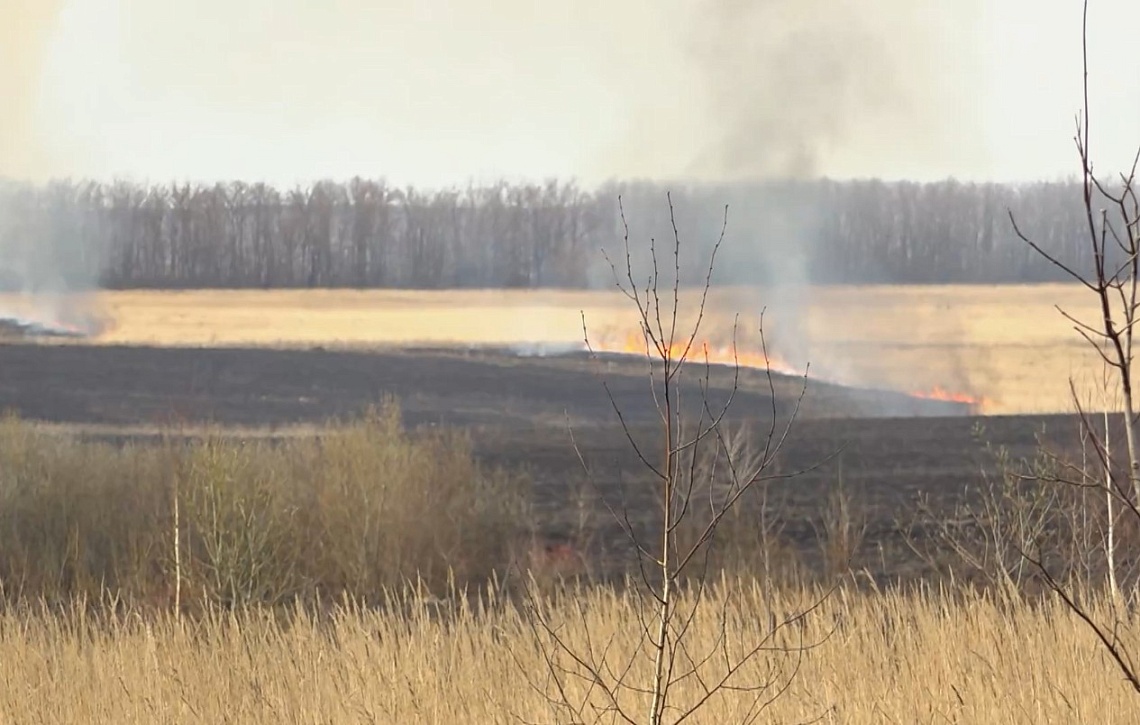 С наступлением теплой погоды в регионе резко увеличилось количество возгораний мусора и сухой травы