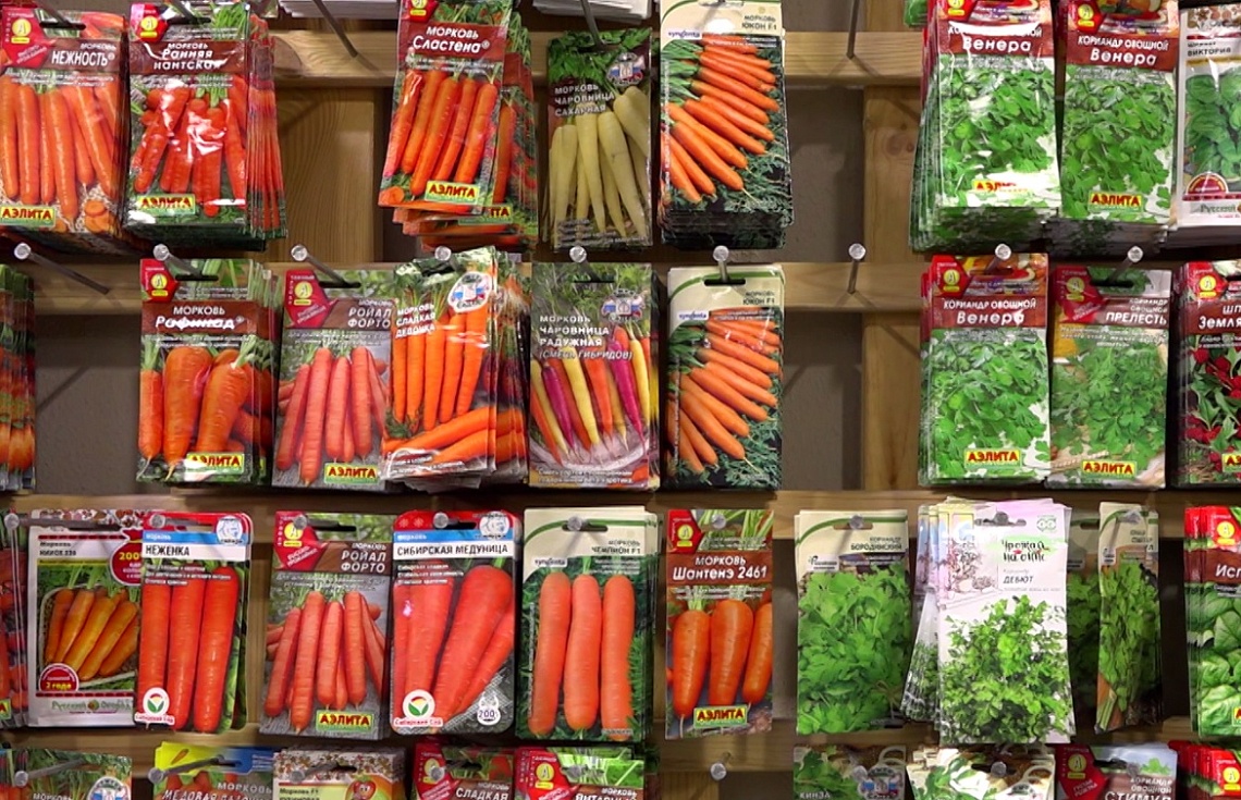 Пензенские дачники готовятся к старту сезона садово-огородных работ Пензенские дачники готовятся к старту сезона садово-огородных работ