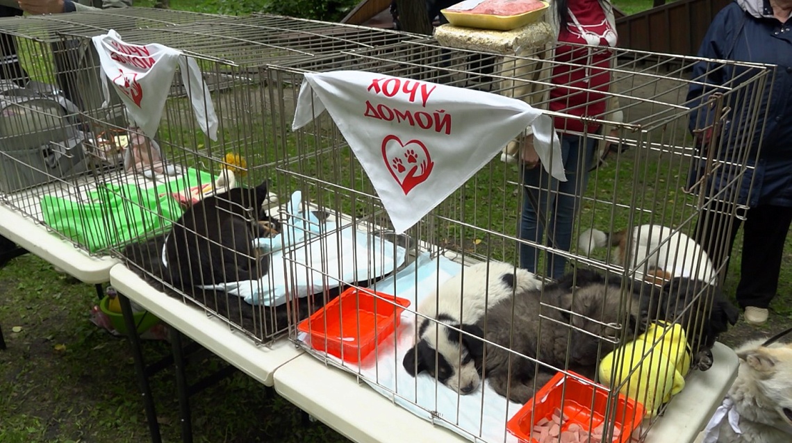 В Пензе состоялась акция «Точка добра»