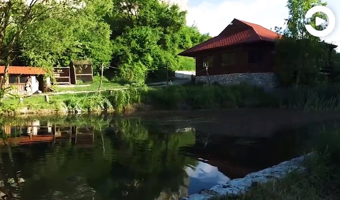 В Пензенской области появится экопоселение В Пензенской области появится экопоселение