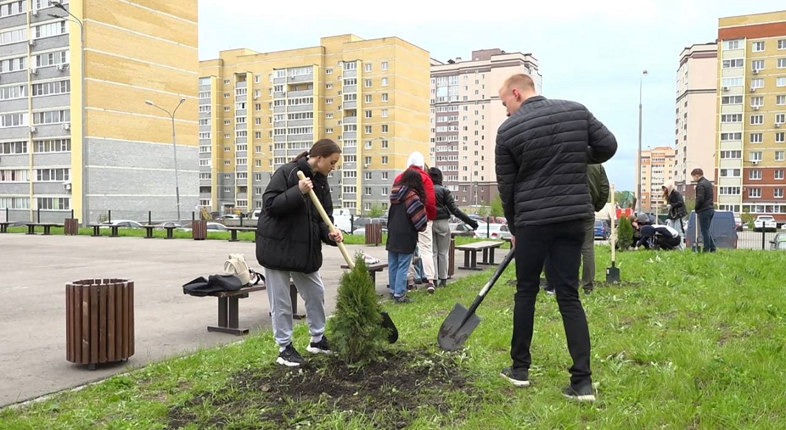В Дальнем Арбеково на территории школы №79 высадили туи, ели и можжевельник