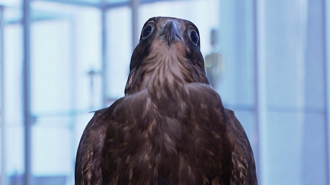 В Пензе состоялся восьмой аграрный форум