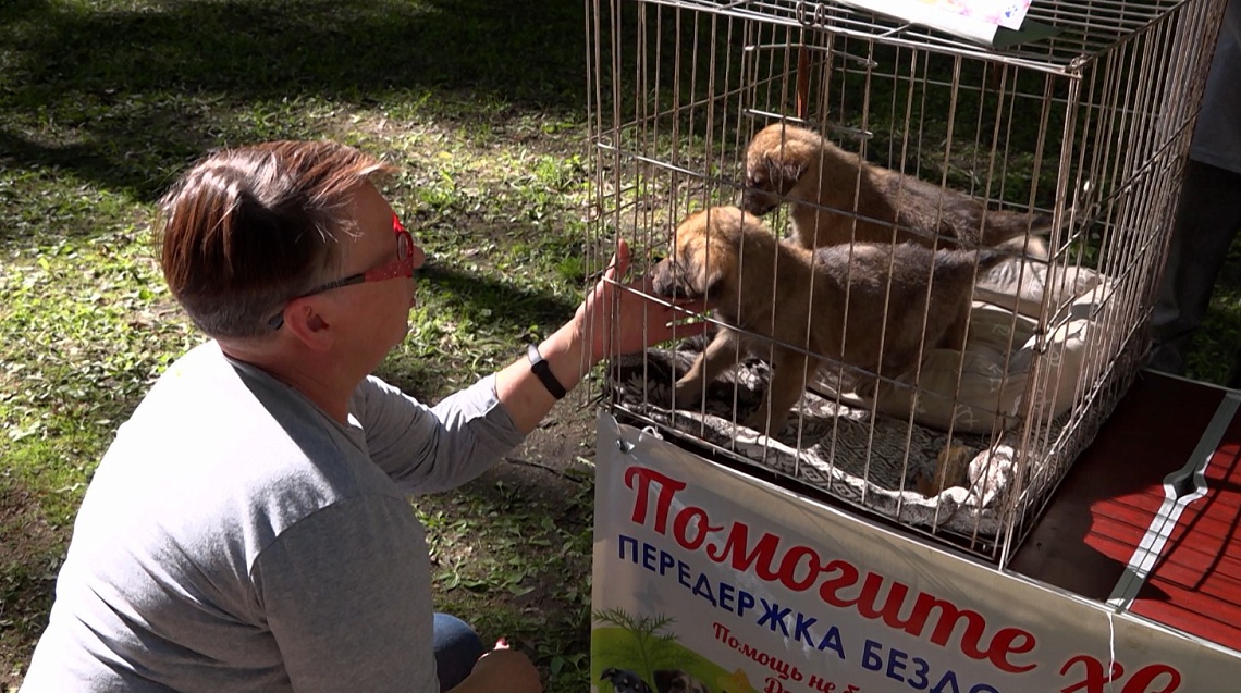 В Пензе начали работу «Точки добра»