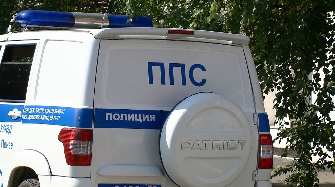 В Пензе сотрудники полиции задержали клептоманку