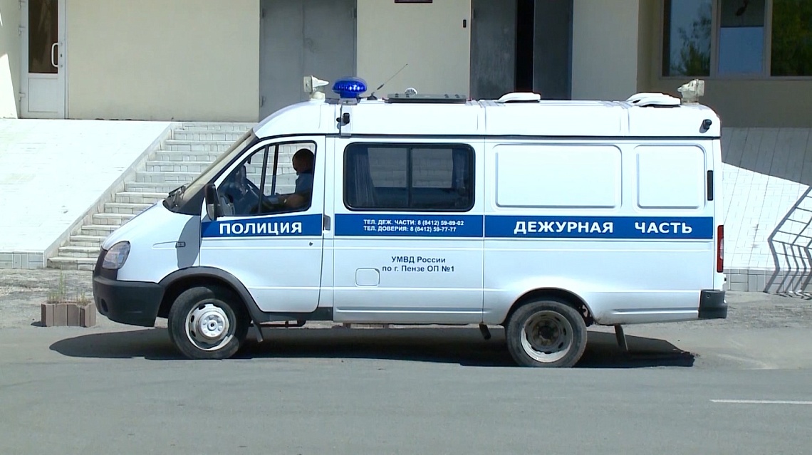 В Каменке сотрудники полиции задержали местного жителя, причастного к магазинным кражам