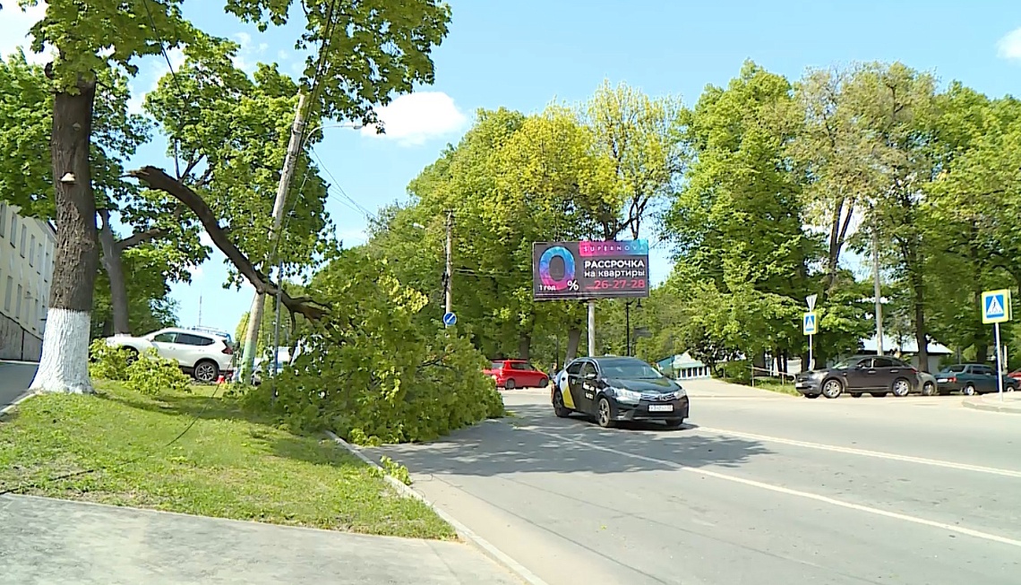 В Пензе на улице Лермонтова ветхое дерево перегородило часть дороги