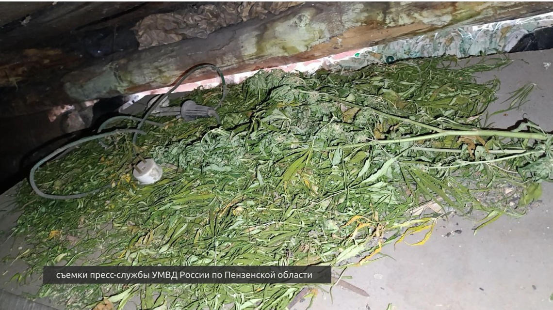 79-летнего жителя Мокшана подозревают в незаконном обороте запрещенных веществ