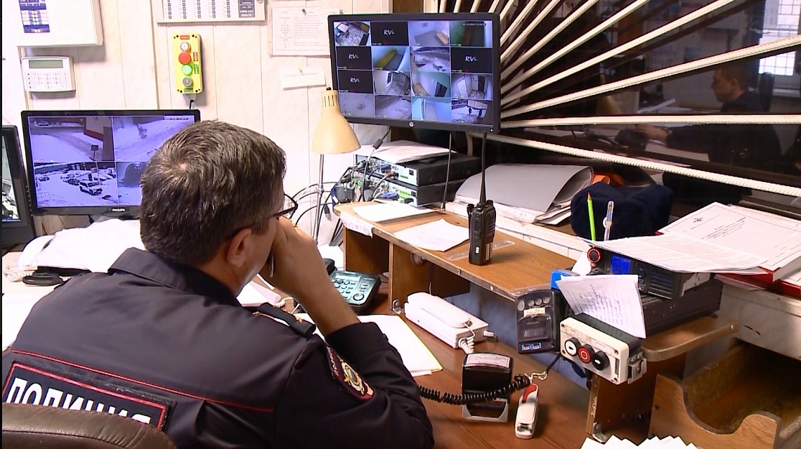 Из магазина в центре Пензы украли двух больших игрушечных медведей