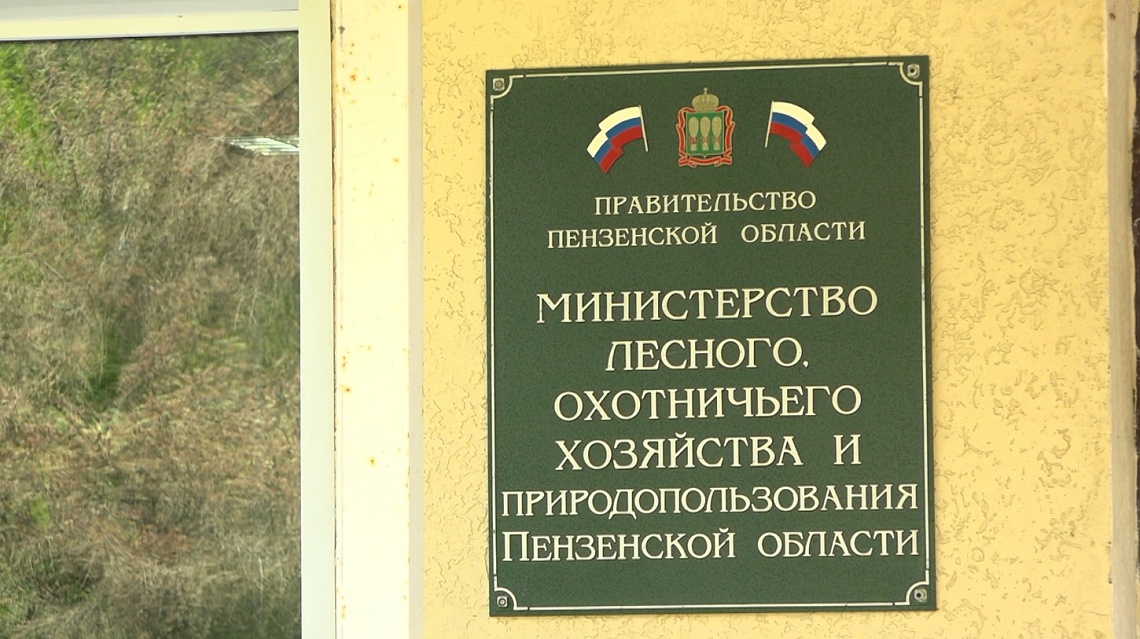 В Пензенской области стартовал сезон охоты на кабана в закрепленных угодьях