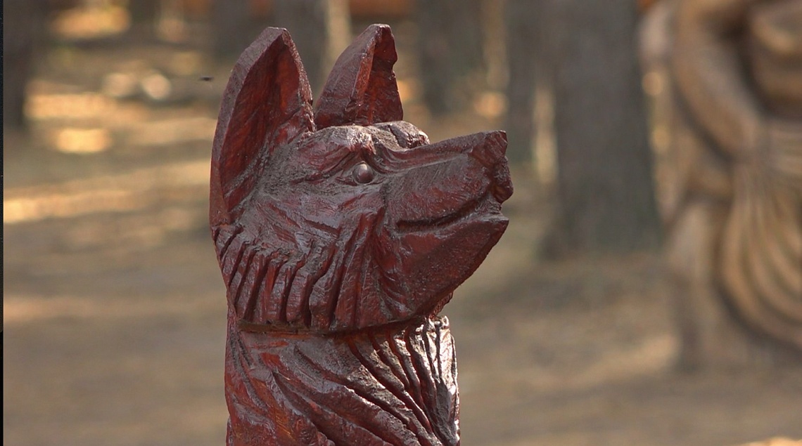 В Пензе могут закрыть парк «Древландия»