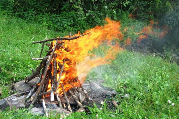 За майские праздники в Пензенской области зафиксировано 7 лесных пожаров