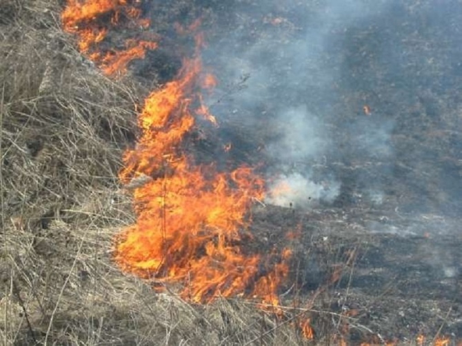 Официальный сайт города Новополоцка - О недопущении выжигания сухой растительности