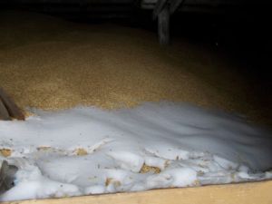 Под Пензой на мукомольном заводе нарушили правила хранения зерна
