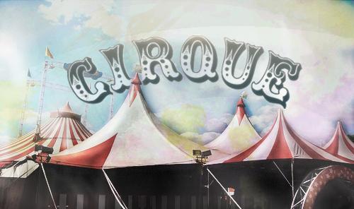 В Пензу приехал цирк-шапито «Сафари»