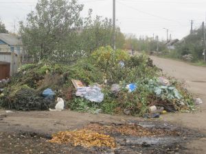 Три района Пензенской области «утопают»  в мусоре