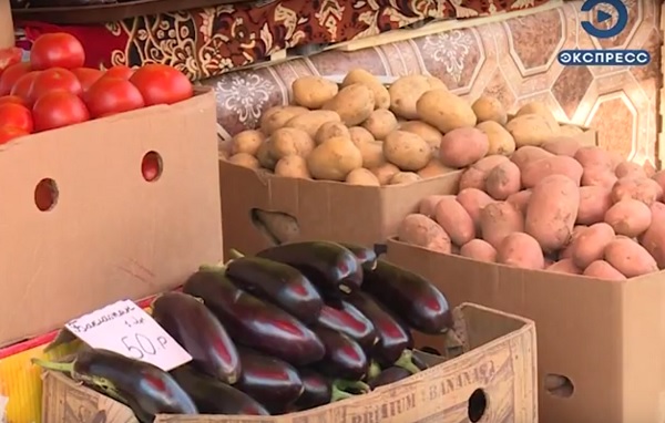 В Пензенской области уборка овощей начнется с опозданием