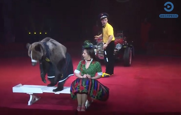 В Пензу приехал знаменитый передвижной цирк Юрия Никулина