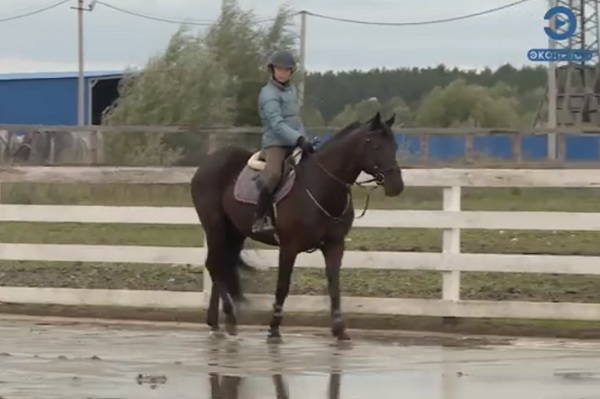 Пензенские любители конного спорта пытаются взять новую высоту