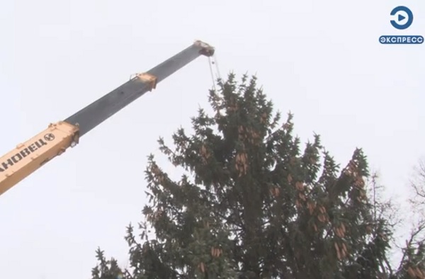 В центре Кузнецка установили новогоднюю елку