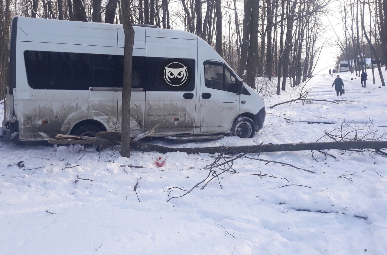 В Пензе маршрутка скатилась по лестнице в лес | 24.03.2020 | Пенза -  БезФормата