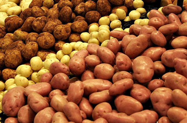В Пензенской области собрали более 630 тыс т картофеля