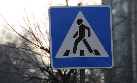 Пензенских водителей и пешеходов просят быть бдительнее