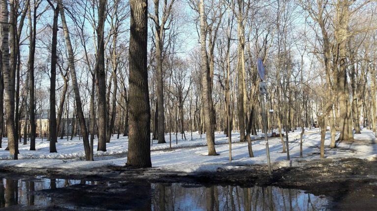 Купить Торт На Западной Поляне В Пензе