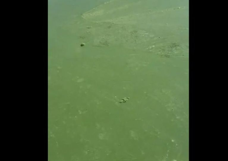 Вода на сурском водохранилище